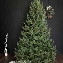 Brad artificial Christmas Deluxe by Sersimo, Viena verde, 3D, 180cm