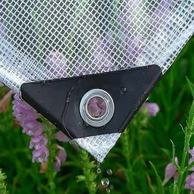 2-prelata-transparenta