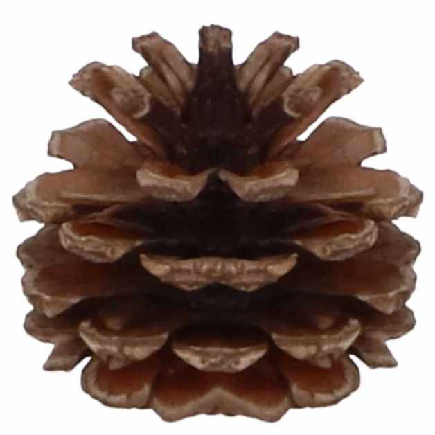 5-41