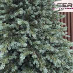 Brad artificial Christmas Deluxe by Sersimo, Alaska Select verde argintiu, integral 3D, 250 cm