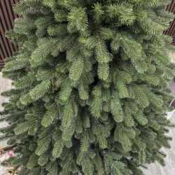 Brad artificial Christmas Deluxe by Sersimo, Versailles Select, integral 3D, 210 cm