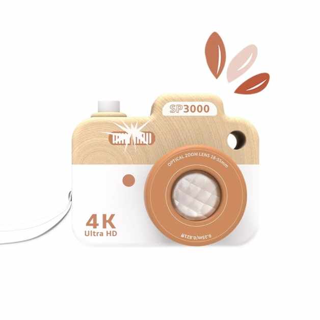 Camera foto din lemn