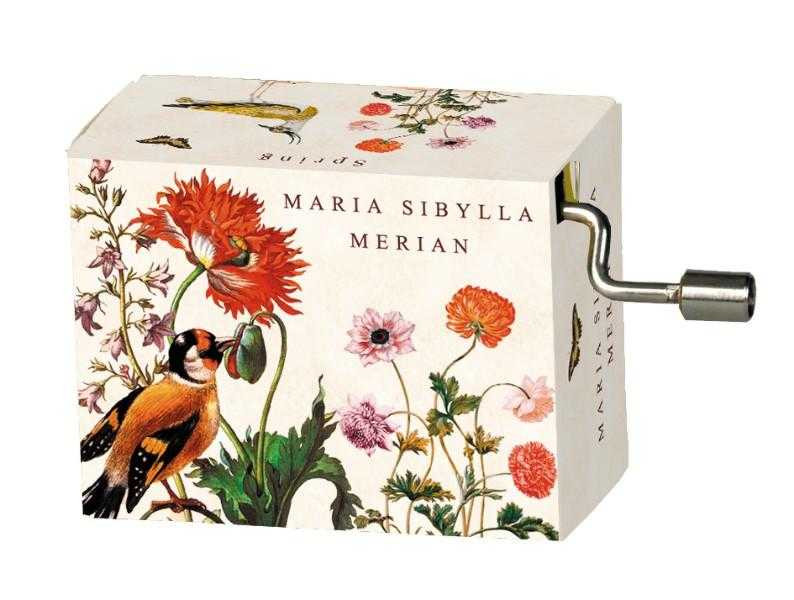 Flasneta Maria Sibylla Merian