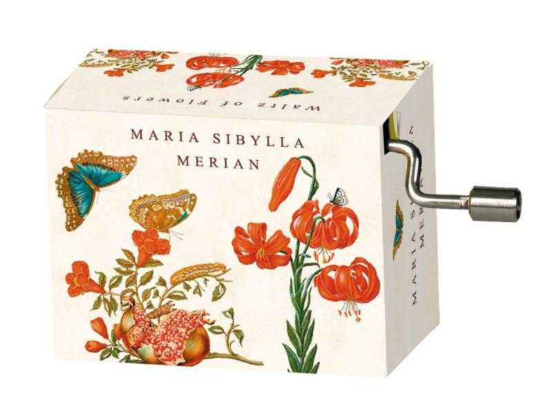 Flasneta Maria Sibylla Merian