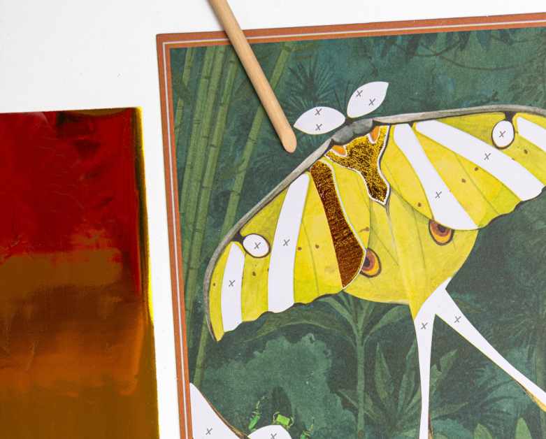 joc-creativ-planse-fantastice-insecte-si-animale-moulin-roty19607