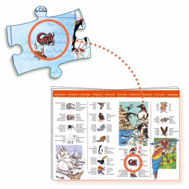 puzzle-observatie-animalele-lumii-djeco12803
