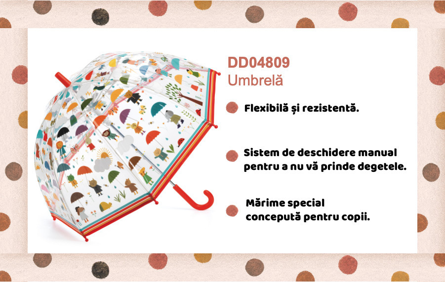 DD04809