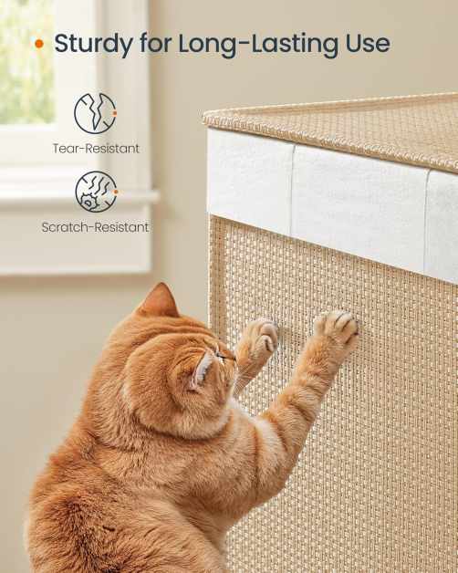 EZ-LCB601N01-6