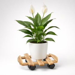 Suport ghiveci cu roti, suport mobil pentru plante, din lemn, diametru 36 cm, maro natur
