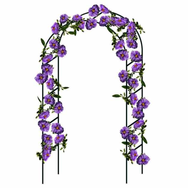 PERG-N3214-1
