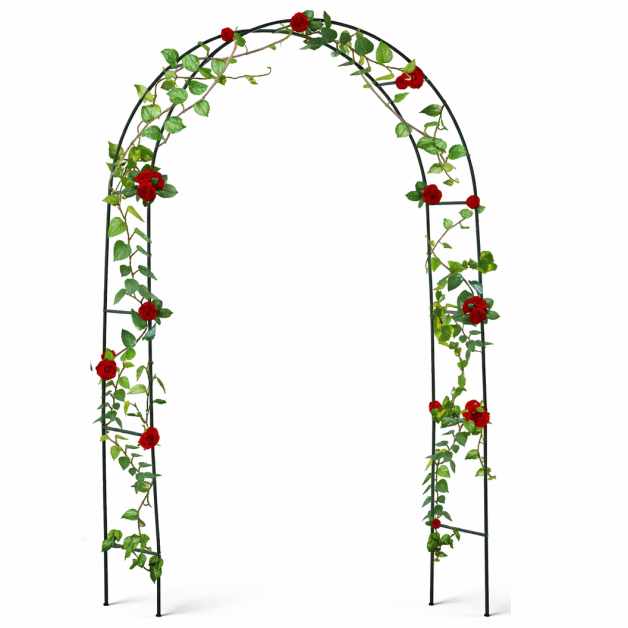 PERG-N3214-4
