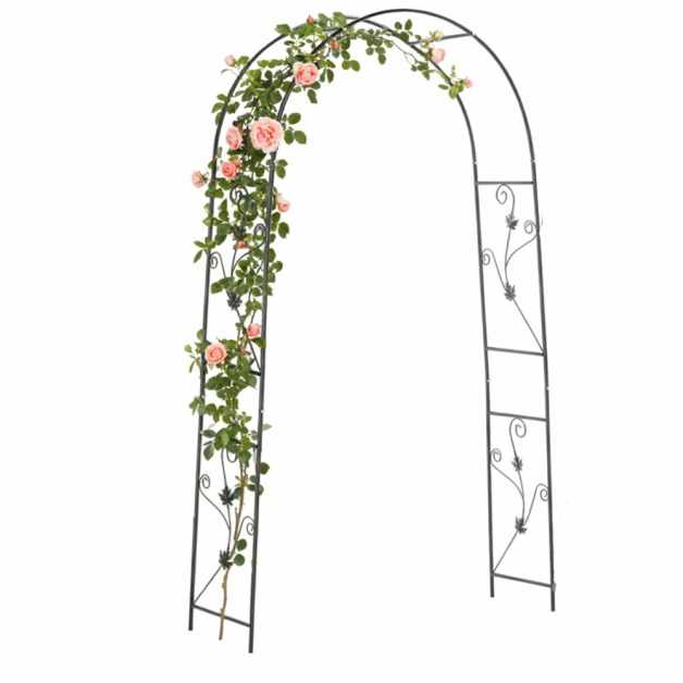 PERG-N5054-1-rotated