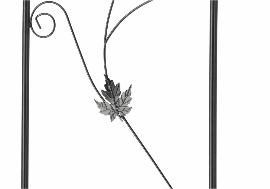 PERG-N5054-6-scaled