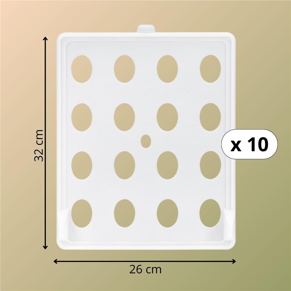 HG-0090-19