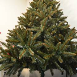 Brad artificial Christmas Deluxe by Sersimo, Royal, 220cm