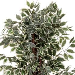 Planta artificiala Atmosphera Ficus cu ghiveci, 97x86x185 cm, verde in doua nunante