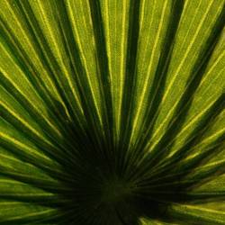 Planta artificiala Atmosphera Palmier cu ghiveci, 110x110x190 cm, verde