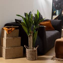 Planta artificiala Atmosphera Dracena cu ghiveci, 105 cm, verde