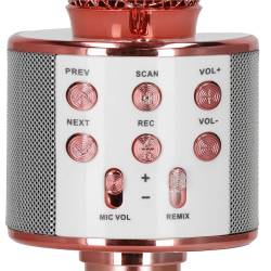Microfon karaoke copii, wireless, cu acumulator, compatibil iOS si Android, functie de schimbare a vocii, roz