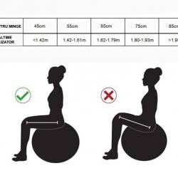 Minge pentru fitness sau yoga 85 cm, pompa inclusa, albastra