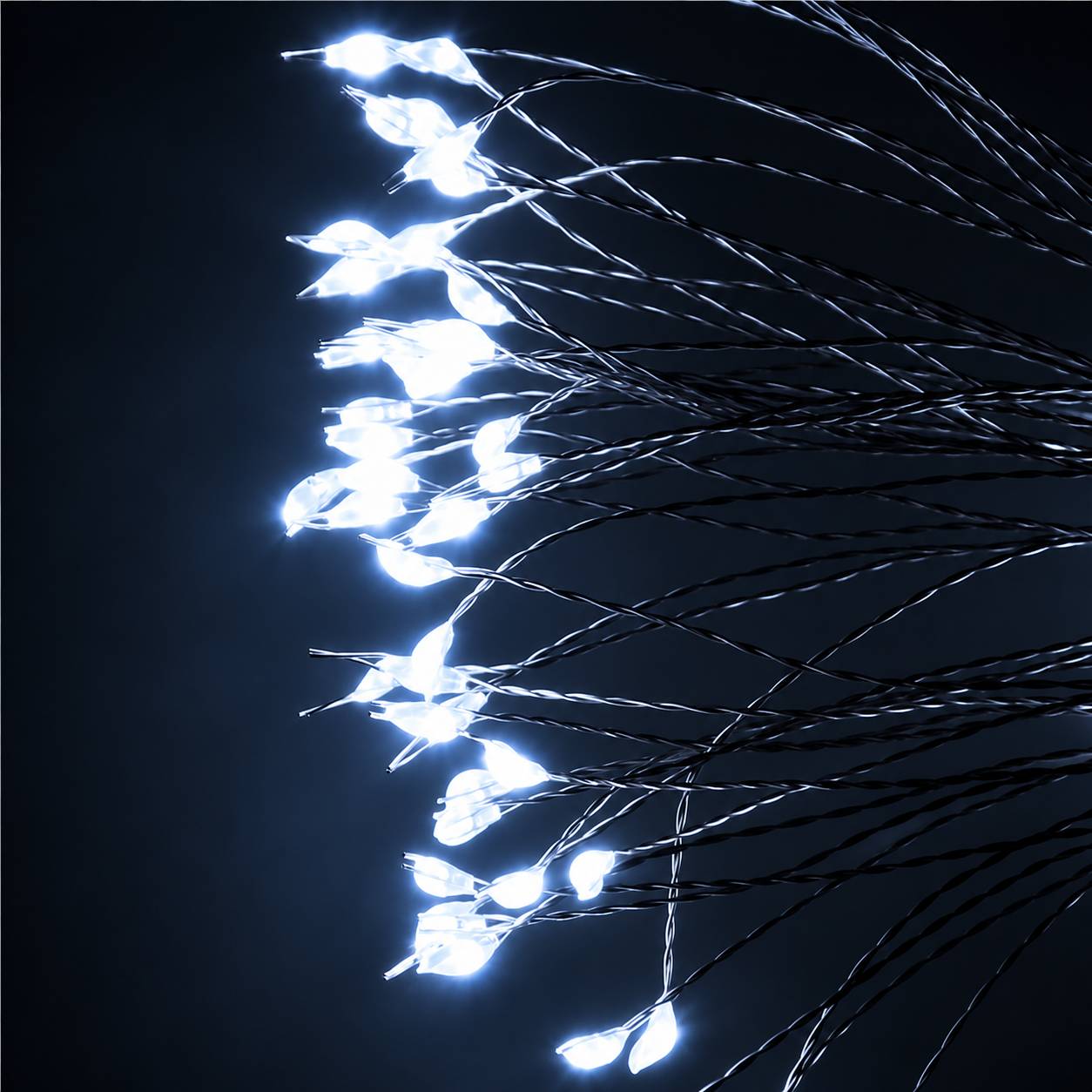 CL-0117-5