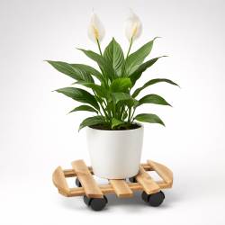 Suport ghiveci cu roti, suport mobil pentru plante, din lemn, diametru 36 cm, maro natur