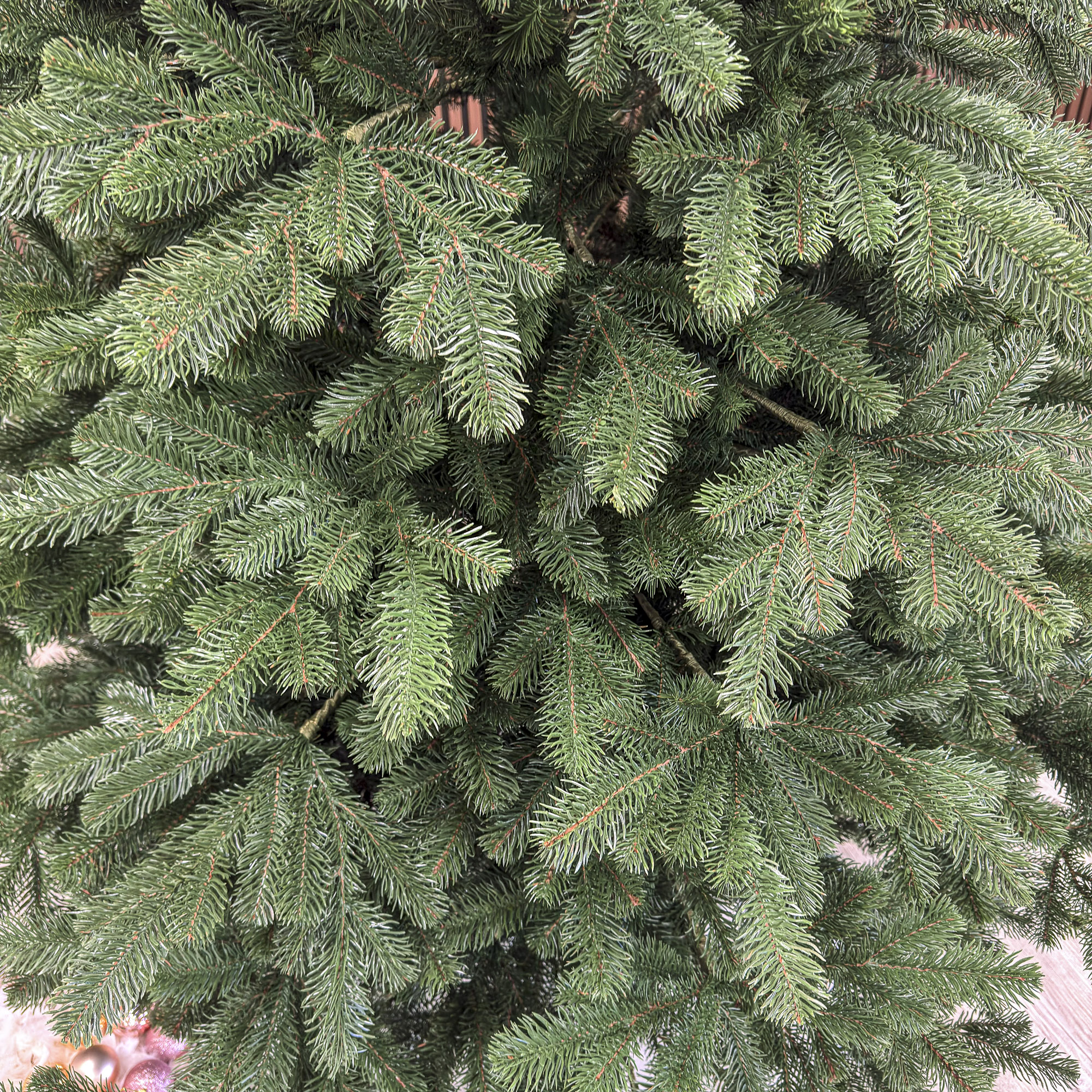 Kovalivka-Green-2-5