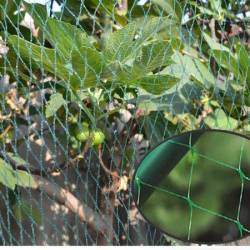 Plasa anti pasari pentru pomi fructiferi si vita de vie, ochiuri 15x15 mm, polipropilena, 2x5 m, verde