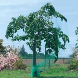 Plasa anti pasari pentru pomi fructiferi si vita de vie, ochiuri 20x20 mm, polipropilena, 4x5 m, verde