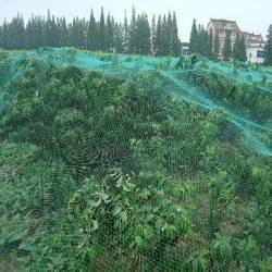 Plasa anti pasari pentru pomi fructiferi si vita de vie, ochiuri 15x15 mm, polipropilena, 2x10 m, verde