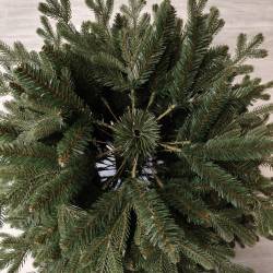 Brad artificial Christmas Deluxe by Sersimo, Royal Felara, 2D+3D, 150cm