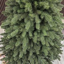 Brad artificial Christmas Deluxe by Sersimo, Versailles Select, integral 3D, 210 cm