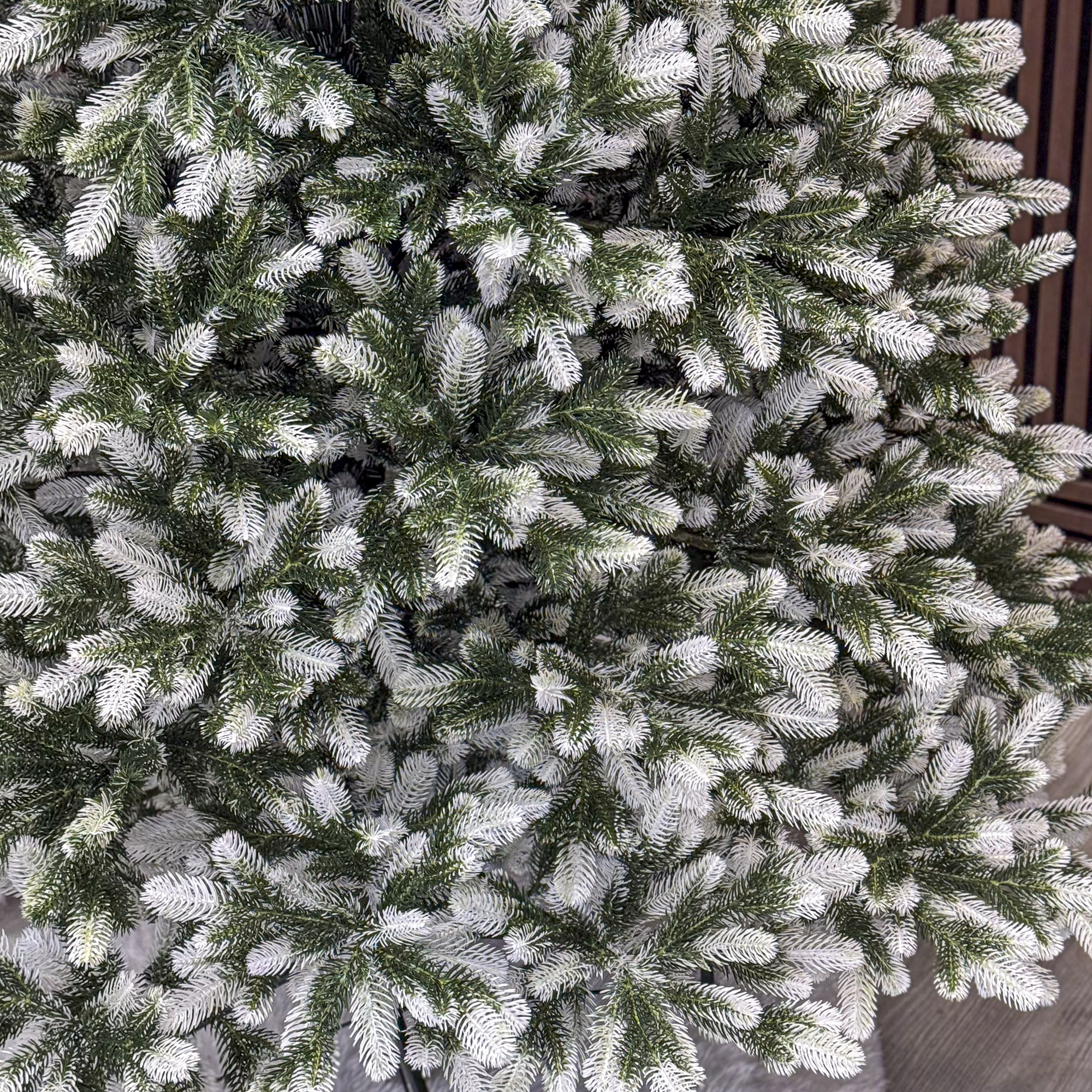 Winter-2.3-01