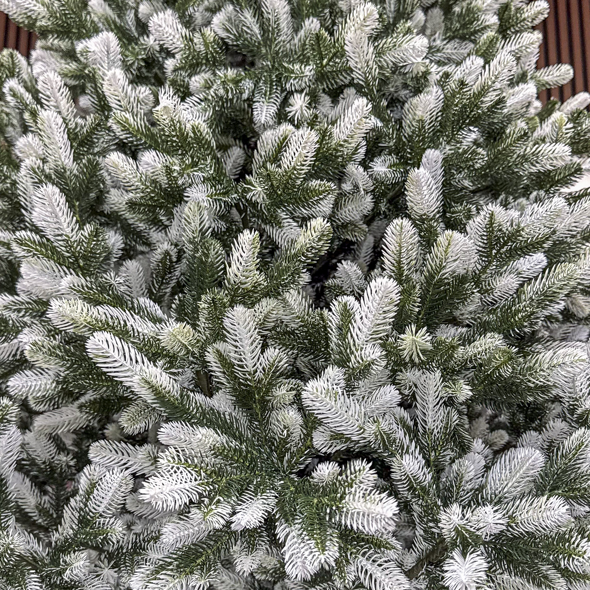 Winter-2.3-07-1