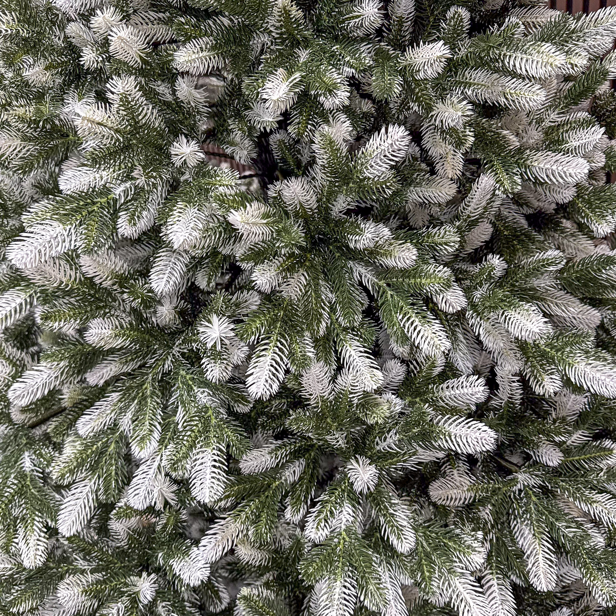 Winter-2.3-09-1