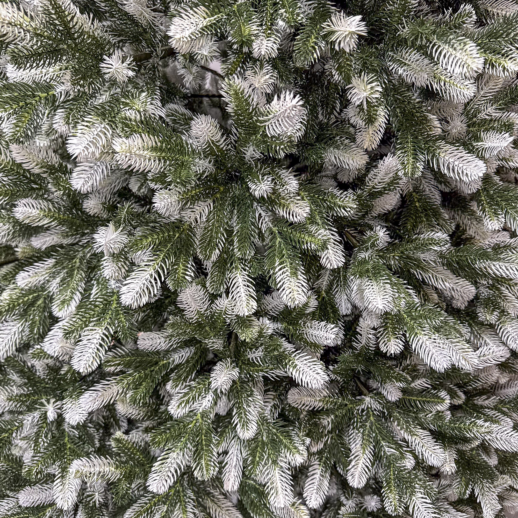 Winter-2.3-10