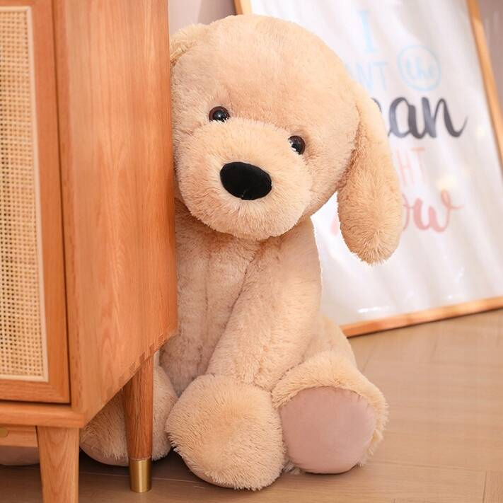 catel2-3